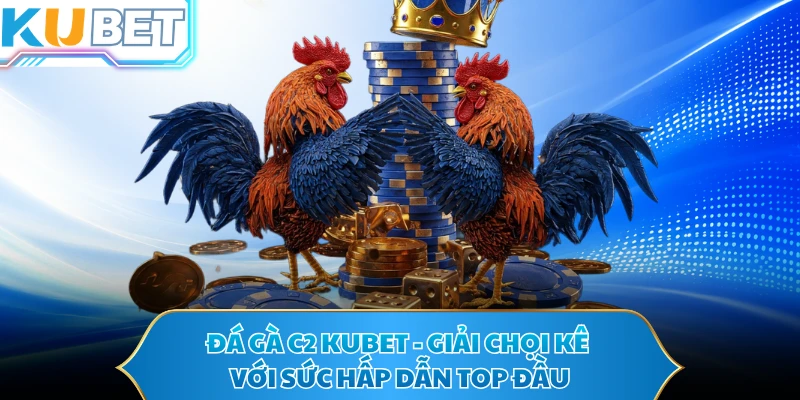 Đá Gà C2 KUBET - Giải Chọi Kê Với Sức Hấp Dẫn Top Đầu