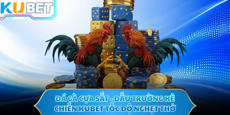 Đá Gà Cựa Sắt - Đấu Trường Kê Chiến KUBET Tốc Độ Nghẹt Thở