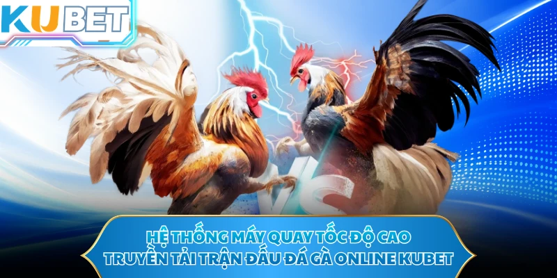 Hệ thống máy quay tốc độ cao truyền tải trận đấu đá gà online KUBET