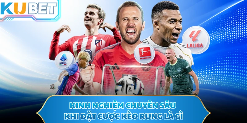 Kinh nghiệm chuyên sâu khi đặt cược kèo rung là gì