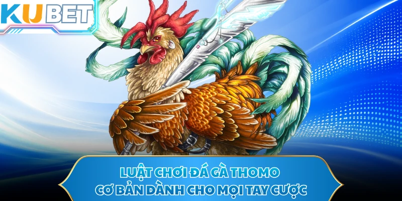Luật chơi đá gà Thomo cơ bản dành cho mọi tay cược